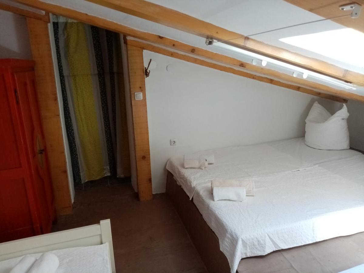 ロヴィニCasa Di Marko 105 M2 Gardenアパートメント エクステリア 写真