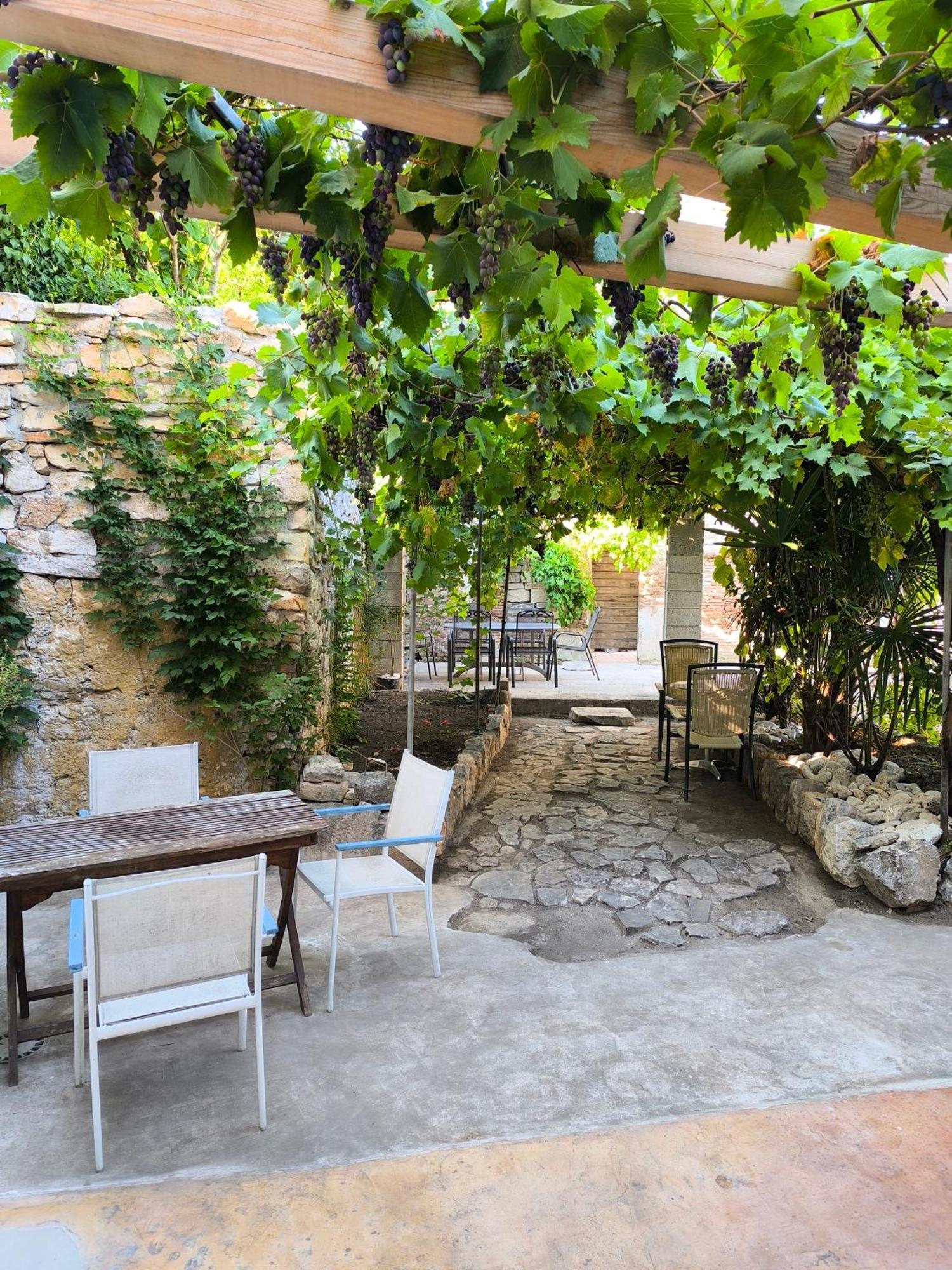 ロヴィニCasa Di Marko 105 M2 Gardenアパートメント エクステリア 写真